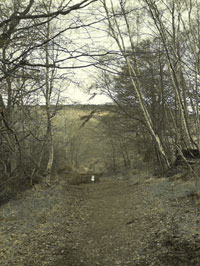Dere Street