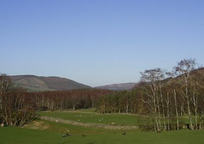 near Drumelzier on route to Peebles