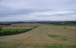 The Cheviots from Foulden