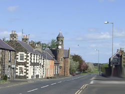 Gordon