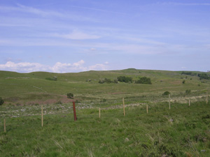 The road would have been in the centre of the picture