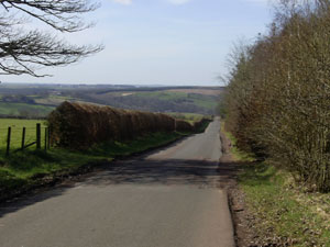 Looking north towards Crossford