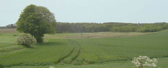 Old lake bed at Lundin. Click for larger image.
