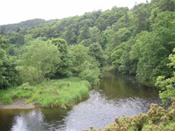 Gorge at Neidpath