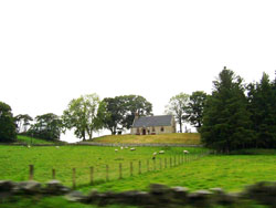 Lyne Kirk