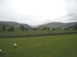 Manor Valley