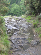 Riverside path